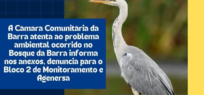 A Câmara Comunitária da Barra está atenta aos problemas ambientais no Bosque da Barra