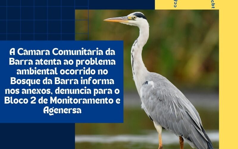 A Câmara Comunitária da Barra está atenta aos problemas ambientais no Bosque da Barra