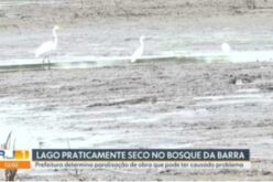 **Lago do Bosque da Barra sofre com seca; obra irregular é apontada como causa principal**