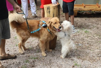 Esse é o primeiro parcão da região da Barra da Tijuca - Alexandre Macieira/Prefeitura do Rio